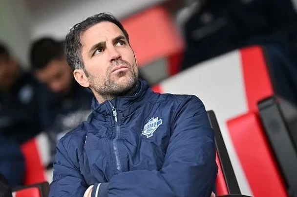 Fabregas is considered the main candidate for the head coach position