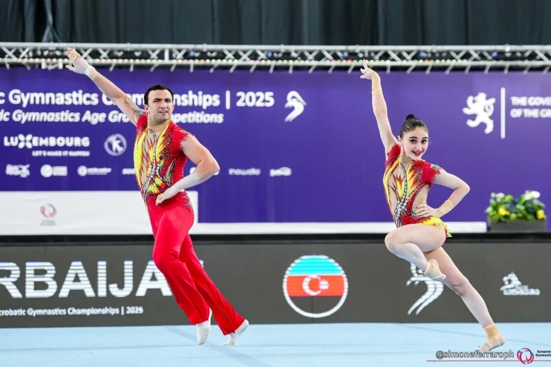 Победители чемпионата Европы на Кубке мира