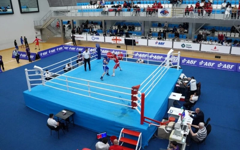 "Heydar Aliyev Cup-2025": 8 Boxers from Azerbaijan Qualify for the 1/4 Finals