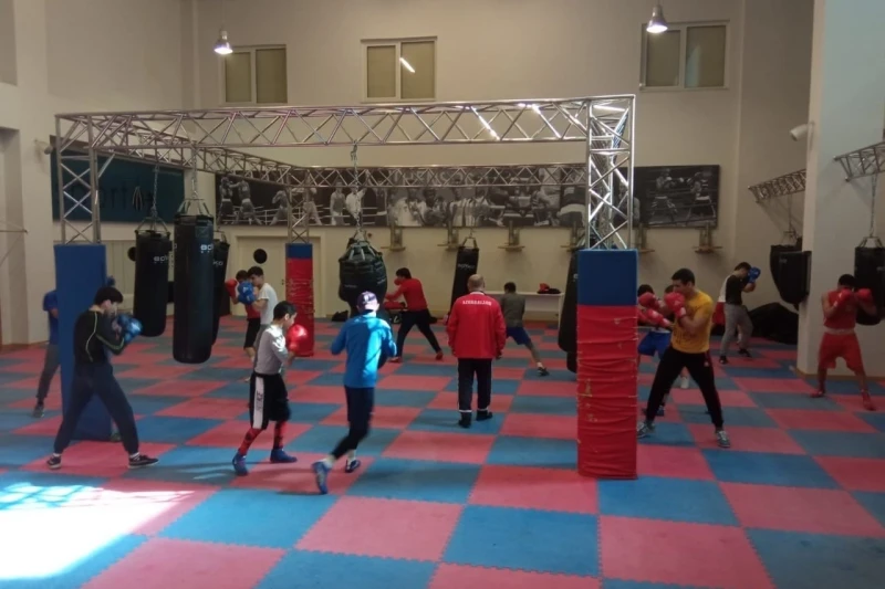 International boxing training camp in Baku