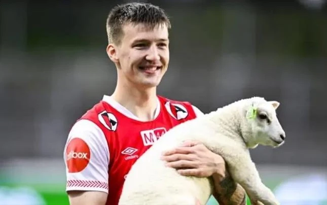 Best player of the game awarded a sheep